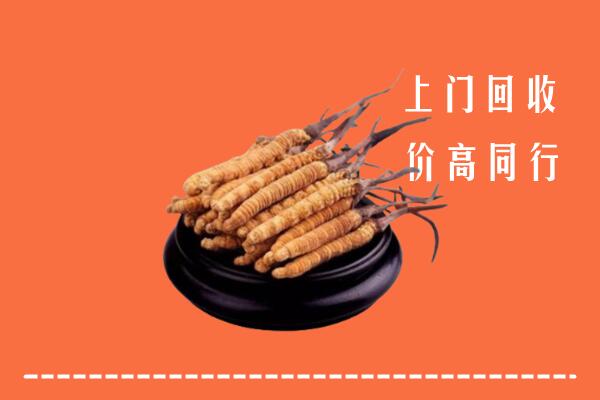 高价求购：相城区回收散虫草