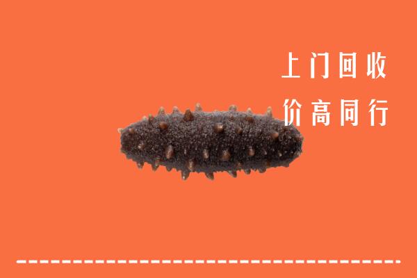 高价求购：相城区回收海参
