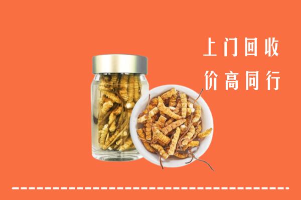 相城区回收冬虫夏草