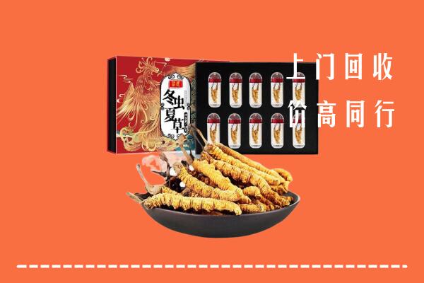相城区回收虫草